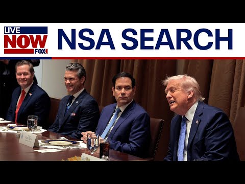 Video | Trump national security team: Top candidates to replace Mike Waltz | LiveNOW from FOX