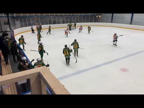 Ilves Colorado - Tappara Sininen