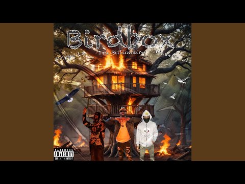 Birdbox (feat. Waveyy Sos & Drippy La)