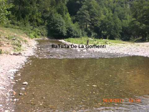 Batuta de la Gornenti