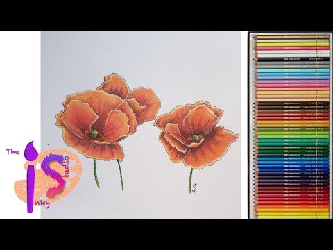 Thème printemps -Tuto 3/4 les fleurs ( coquelicots) aux holbeins par CaMilLe