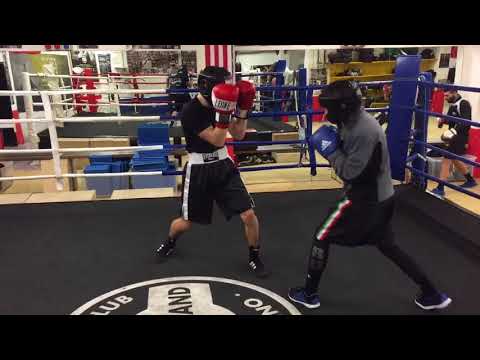 BoxeIsland future Champ sparring