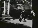 Roundhay Garden Scene - Stikla