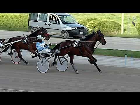 Aversa trotto 13 Marzo - 7° Corsa