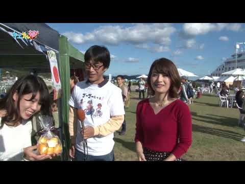 2025年11月放送分
