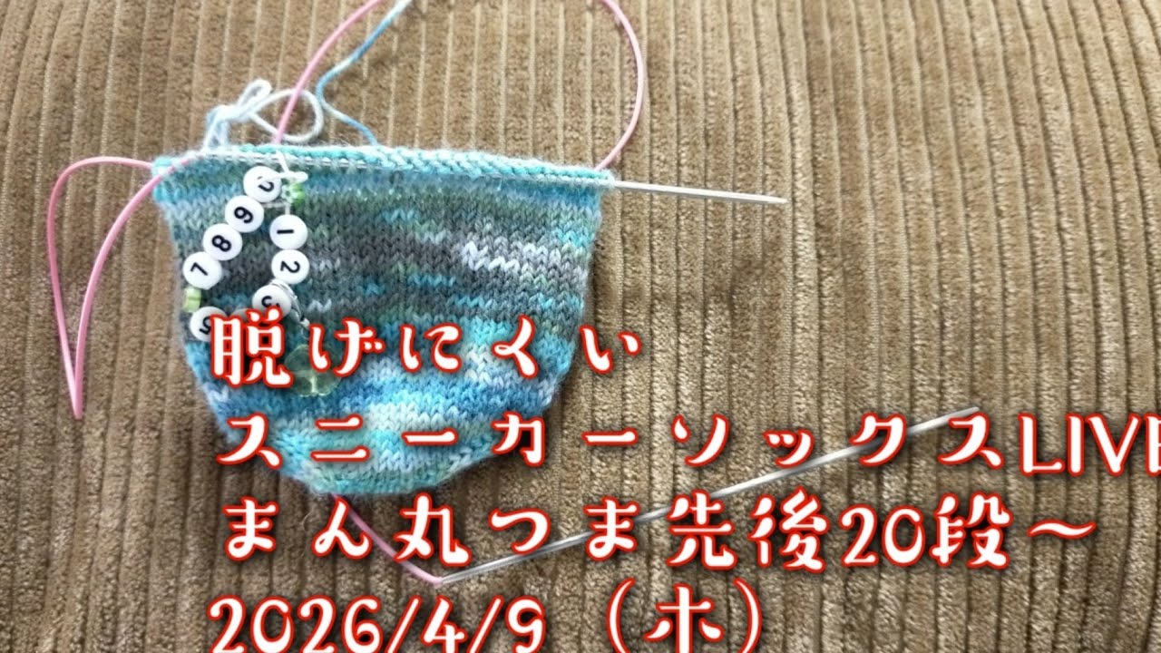 【編み物ライブ🧶】脱げにくいスニーカーソックス２まん丸つま先後20段〜2026/4/9（木）