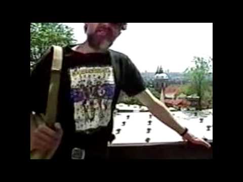 Terence McKenna Song (True Hallucinations)