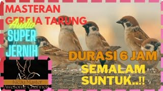 Download lagu 🛑Suara Gereja Tarung, Masteran Audio Super jernih.. Durasi 6 JAM‼️Gacor Semalaman.. mp3