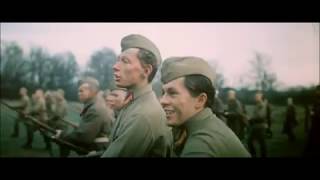 Гибель подольских курсантов, октябрь 1941. Эпизод из фильма Фрагмент фильма БИТВА ЗА МОСКВУ