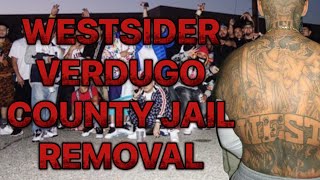 WESTSIDE VERDUGO GANG MEMBERS BLASTED A DUDE IN COUNTY JAIL..STOPED HIS 🥜 AND BROKE BONES 😳