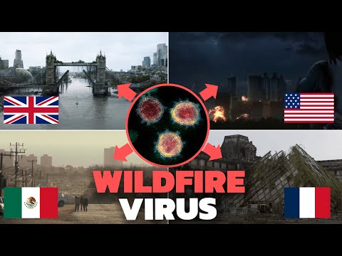 How Every NATION Dealt With the Wildfire Virus in The Walking Dead