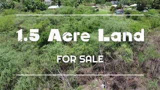 1.5 Acre Land For Sale in New Bowen, Clarendon, Jamaica For $7 Million Jamaican Dollars (Available)