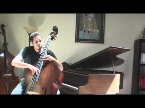 test-Upton Hawkes doublebass-Evah Pirazzi medium gauge-Pizzicato