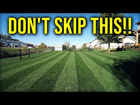 The MOST IMPORTANT Time For Your LAWN IS NOW // Cool Season Fall Lawn Care Tips