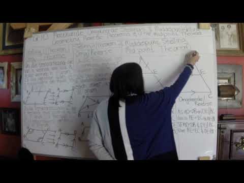 Gr 10 Euklidiese Meetkunde Stellings 1,2 Omgekeerde en Mdlpt Stelling /Euclidic Theorems 1,2 Reverse