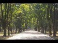 Ефим Мигиров "Старый парк Нальчика" / Efim Migirov Stari Park Nalchika ...