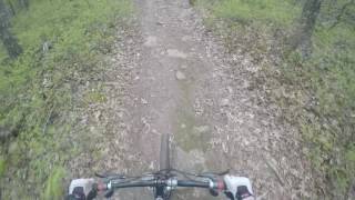 Video of downhill segment to the end of the Main Trail Fire Road.
