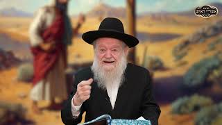 איך יודעים איזו אישה לבחור | הרב יוסף צ. בן פורת (הרב יוסף צבי בן פורת) - התמונה מוצגת ישירות מתוך אתר האינטרנט יוטיוב. זכויות היוצרים בתמונה שייכות ליוצרה. קישור קרדיט למקור התוכן נמצא בתוך דף הסרטון