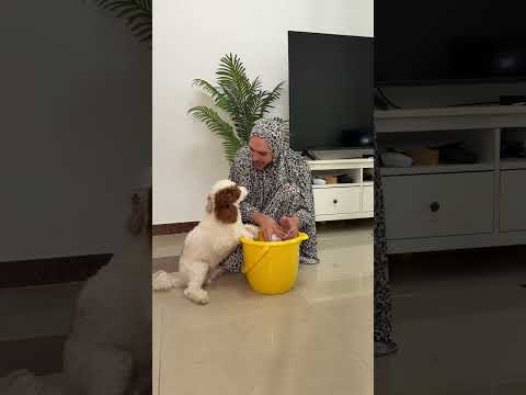 تدريبات أمومية 😂💔