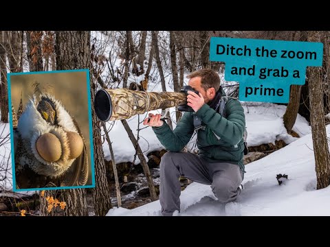 Prime lens vs Zoom lens. When Prime is king, these are the scenarios a prime lens is best.