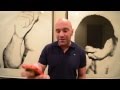 Dana White UFC 160 Vlog Day 1