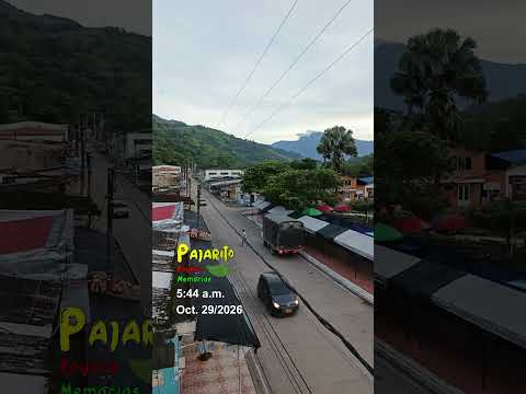 Tráfico por Pajarito Boyacá (Octubre 29/2026) (5:44 a.m.)