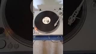dave kurtis - last night in Miami