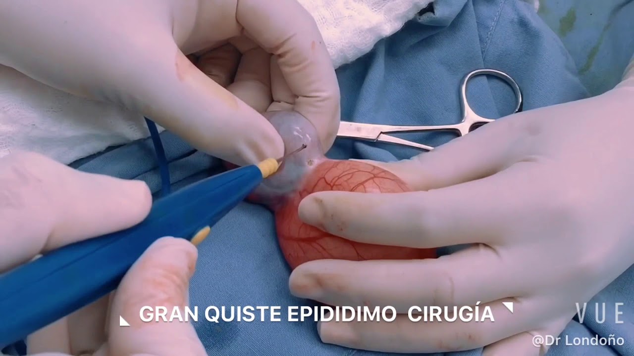 Carlos Londoño Martínez-19