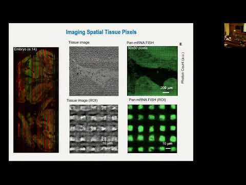 DBiT-seq for High-Spatial-Resolution Multi-Omics Profiling