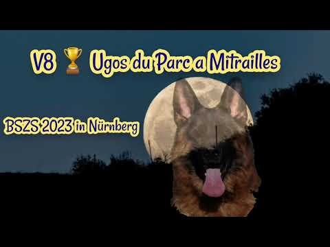 V8🏆  Ugos du Parc a Mitrailles 🍀 #BSZS2023