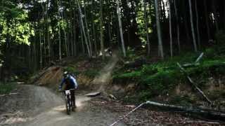 preview picture of video 'Danish DH-cup 2013 3# Thale (Germany)'