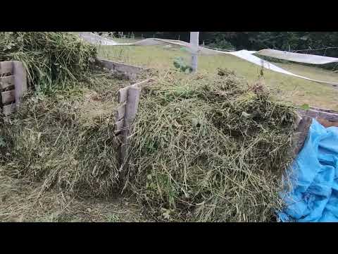 Pięć różnych pryzmy kompostowych w jednym ogrodzie. Kompost na gorąco i zimno, oraz wermikompost