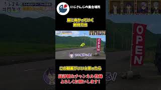 珍しい鳥を見つけて追いかける剣持刀也【にじさんじ】【切り抜き】