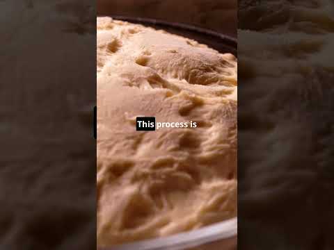 The Science Behind Bread Baking 🍞🔬 #bread #baking #foodscience #scienceexperiment