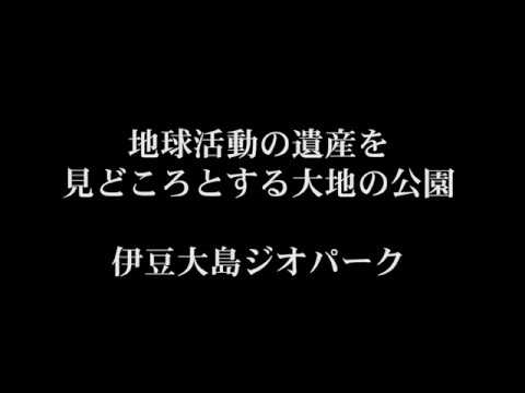 藤沢航空撮影隊