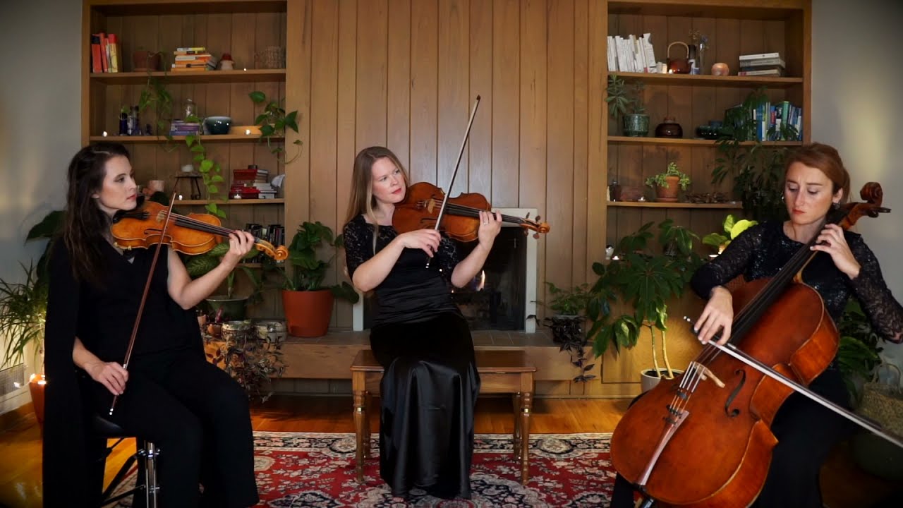 Promotional video thumbnail 2 for Rewound String Trio