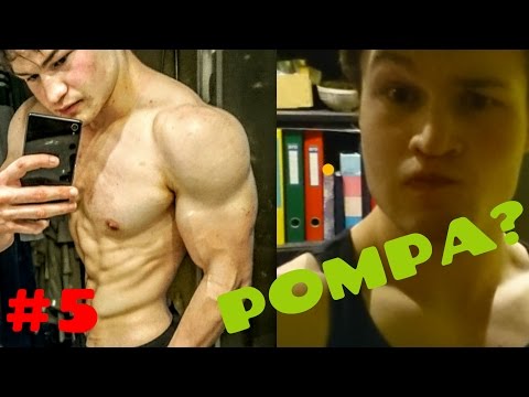 Moc mięśni, jak to działa Mięśnie miednicy anatomii człowieka