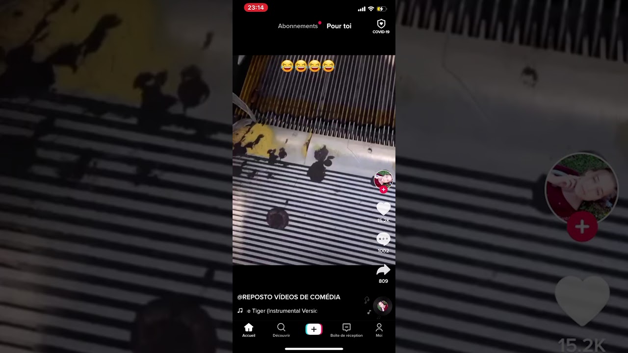 エスカレーターで踊るゴキブリ    ＃ゴキブリホイホイ