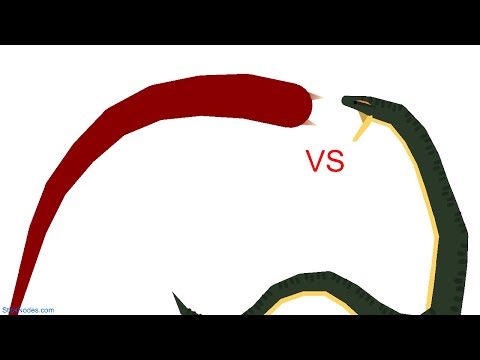 Green Anaconda VS Mongolian Death Worm