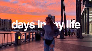 weekend trip to tampa // lately