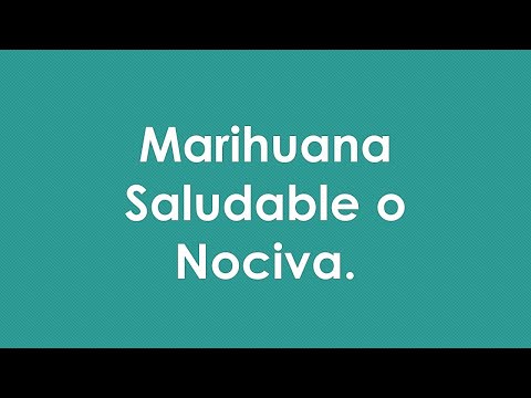 La marihuana ¿es nociva o saludable?