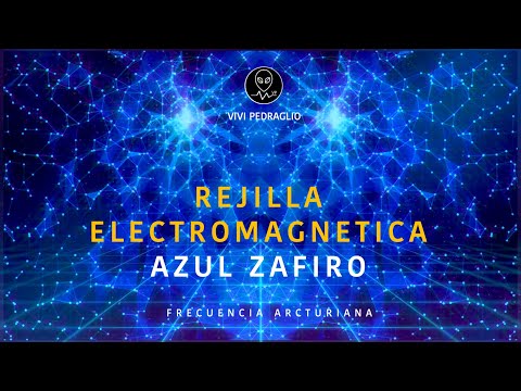 Vivi Pedraglio and Vivi Pedraglio's Team