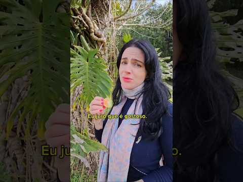 QUE LUGAR ABENÇOADO 👼
