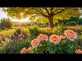 Restore Your Nervous System Relaxing Music For Anxiety Relief Stop Overthinking
