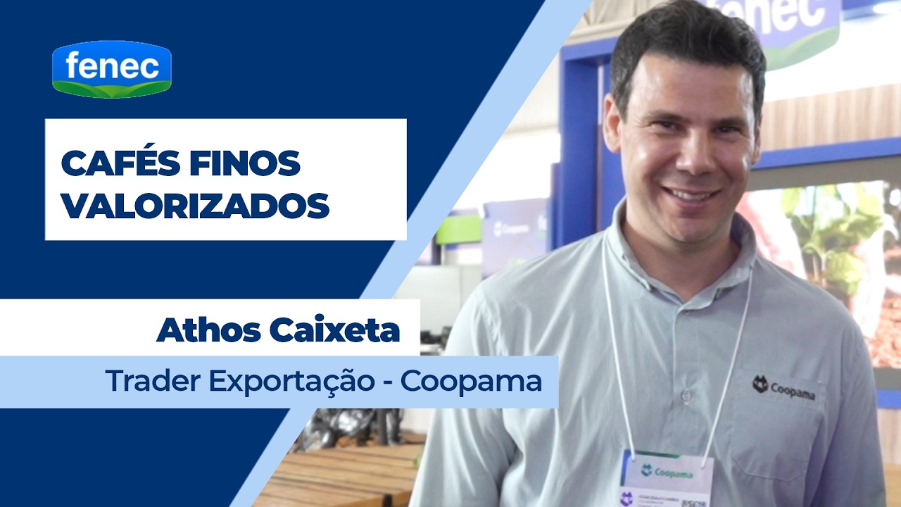 Cafés finos estão mais valorizados em safra marcada pela menor qualidade dos grãos
