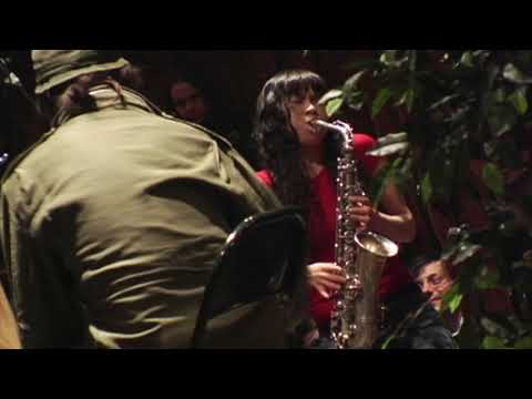 No Neck Blues Band at Gladtree Fest, Amherst, MA, 4/10/04