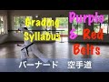 GRADING SYLLABUS PURPLE RED BELTS