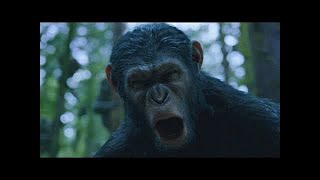 [問卦] 在猴子的地盤開槍需要有多大的勇氣??