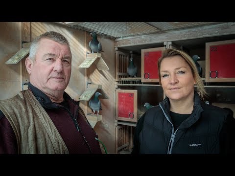 WHZB/TBOTB 2017 Winners - Best Youngbird: Jan & Leanne van der Pasch (English Sub)