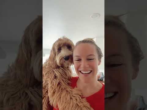 Danielle Savre Live 27-02-22